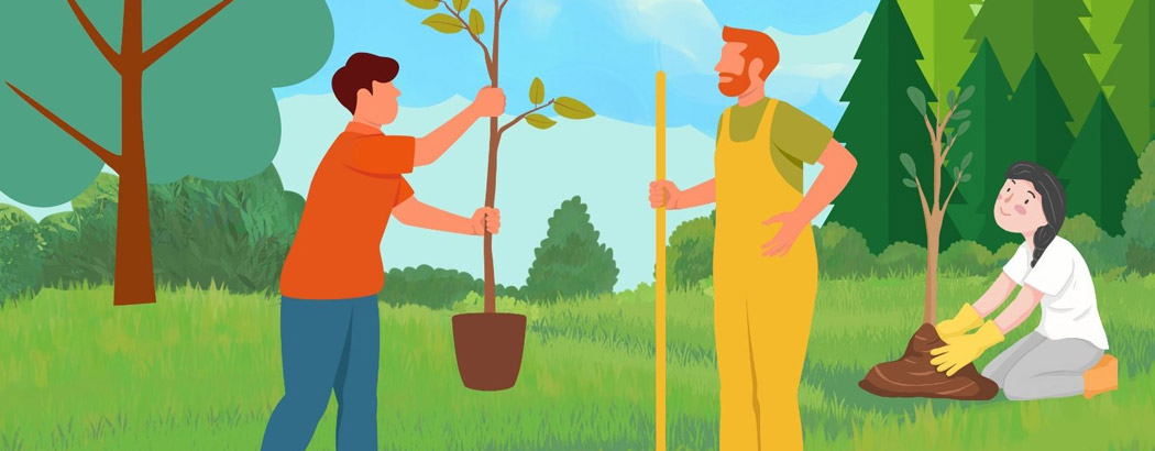 Plantation participative